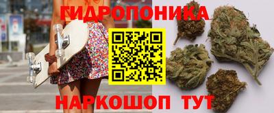 индика Балахна