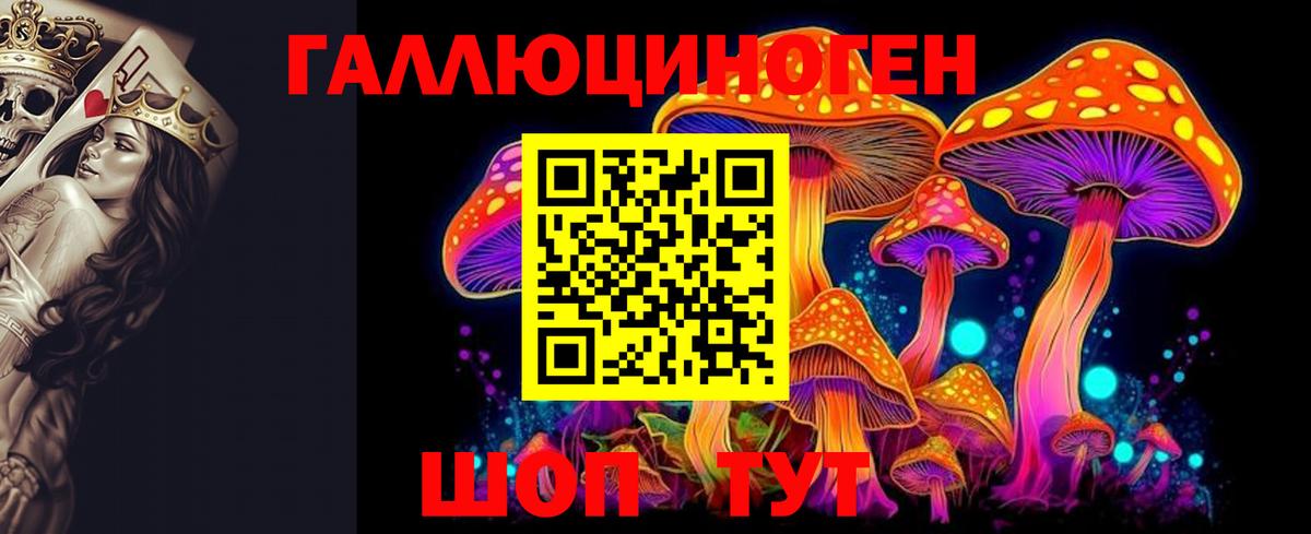 Галлюциногенные грибы MAGIC MUSHROOMS  Вход с VPN  Псилоцибиновые грибы Magic Shrooms  Заволжье 